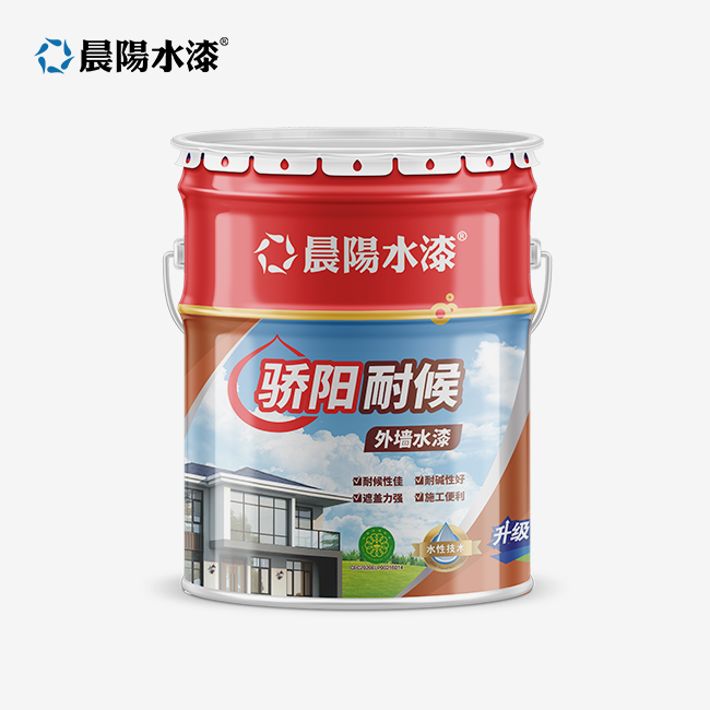 Best Anti Fungal Paint